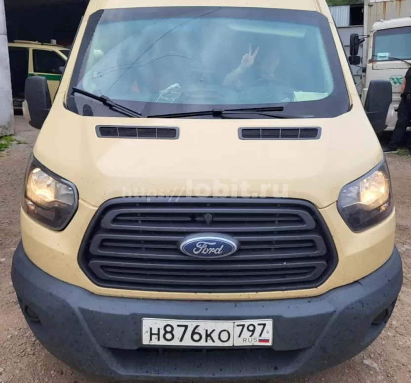 Ford Transit Индеец 29459-02