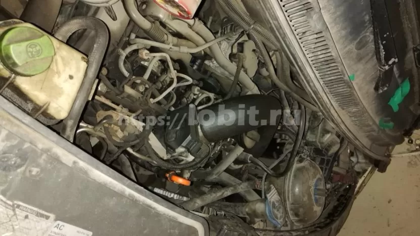 Volkswagen Transporter Рыцарь 294541-03